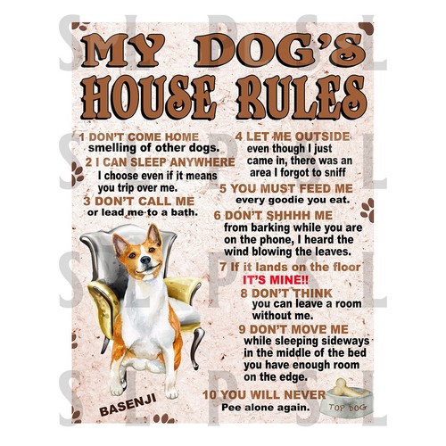 Basenji dog house rules - my,