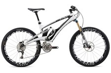 Frame Pivot Bearing Kit |