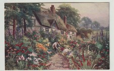 Tuck Oilette Postcard, Cottage
