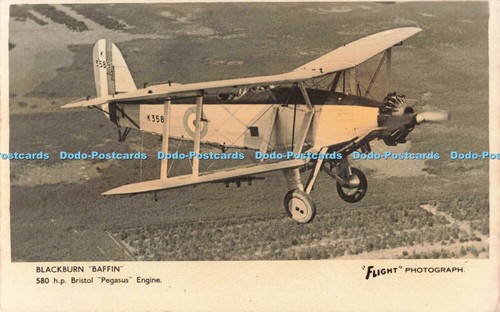 R687511 blackburn baffin - r687511,