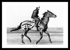 Red Rum Training Gallop 1978 Horse Racing Photo Memorabilia (204)