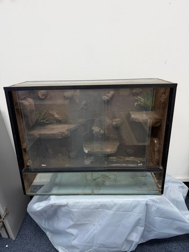 Large glass reptile - glass,