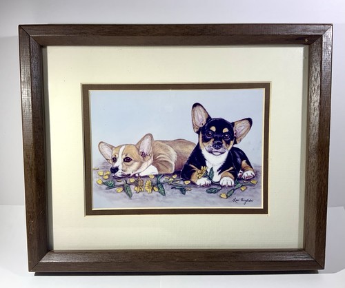 Pembroke welsh corgi puppies - corgi,
