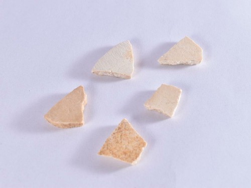 Real dinosaur egg shell - dinosaur,