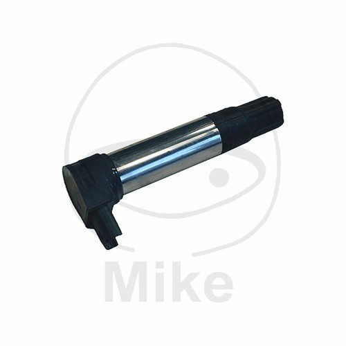 Ignition coil zs385 beru - ignition,