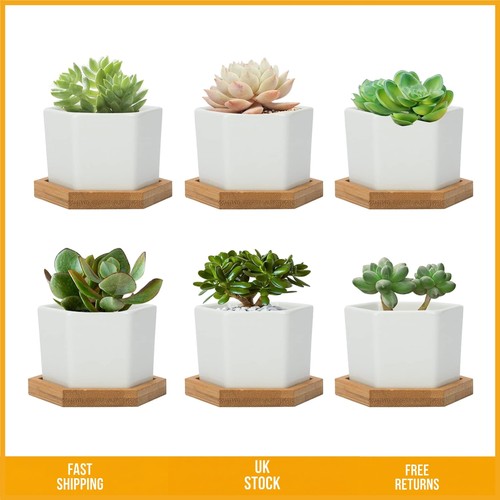 Elegant white ceramic - elegant,