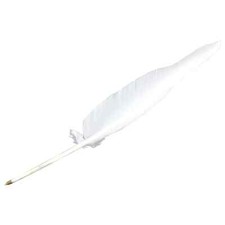 10 White Goose Quill Feather