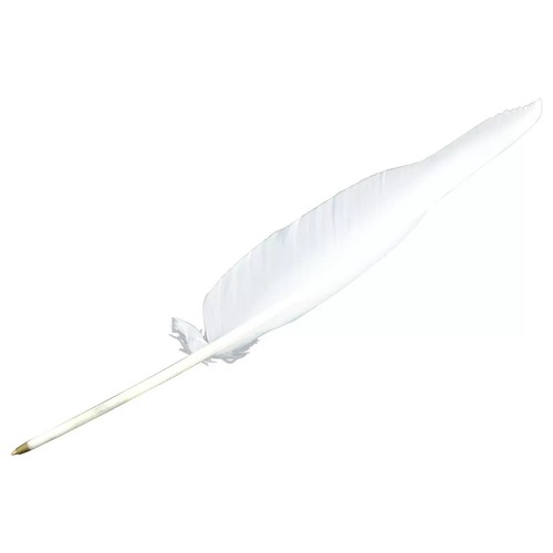 White goose quill feather - 10,