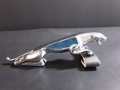 Vintage jaguar leaper - jaguar, hood