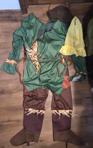 Wizard scarecrow outfit - wizard,