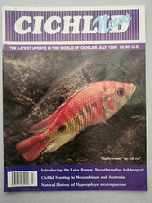 Hunting Cichlid Fishes in