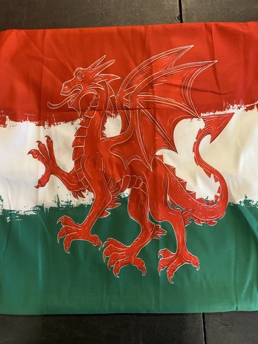Welsh dragon cushion green