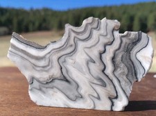Zebra Calcite Self-Standing
