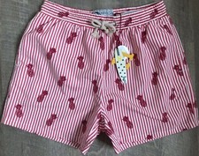 Mens Havacoa Swim Shorts Surf