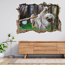 Sloths In Rescue Centre In Costa 3d Smashed View Wall Sticker Poster Decal A936