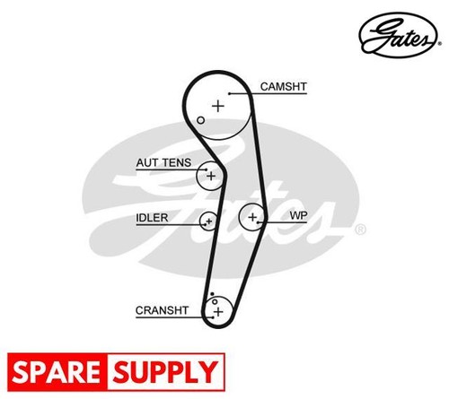 Timing belt for beetle - vw, bora