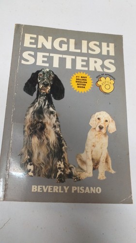 English setters beverly - by,