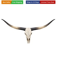 Longhorn Wall Decor, Cow Skull