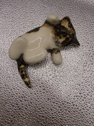 Winstanley tortoiseshell cat - winstanley,