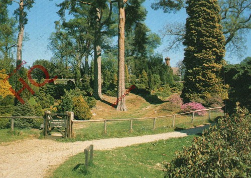 Postcard bedgebury national - postcard_,