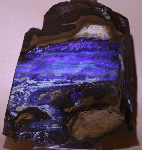 1010 grams large queensland - large,