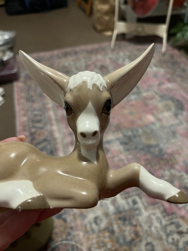 Kitsch 60s porcelain donkey - 60s,