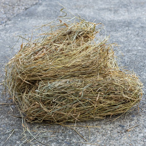 Natural straw pet - natural, bedding