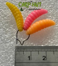 CARP / COARSE FISHING POP UP