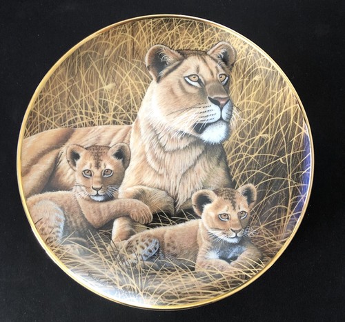 African lioness and cubs - and,
