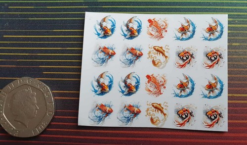 Cute pretty koi carp fish - koi,,