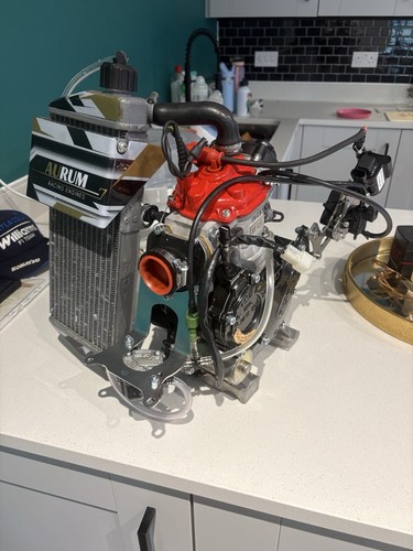 Senior rotax max - senior,