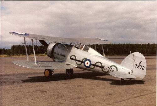 Gloster gladiator model - gladiator, 56"