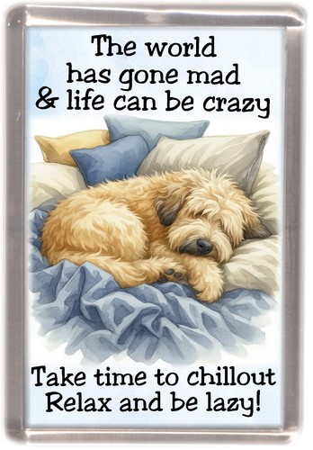 Soft coated wheaten terrier - coated,