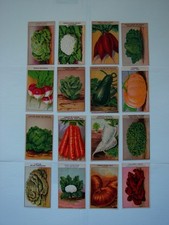 16 VINTAGE FRENCH SEED PACKET LABELS GARDEN MEMORABILIA ORIGINAL UNUSED.