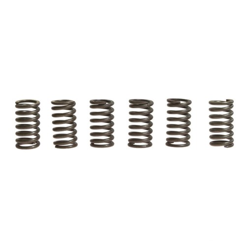 Ebc clutch springs - rinf., +10