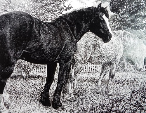 Original scraperboard ink - original,