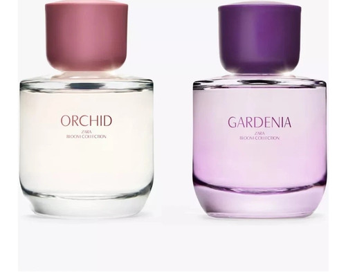 Zara women gardenia orchid - zara, +