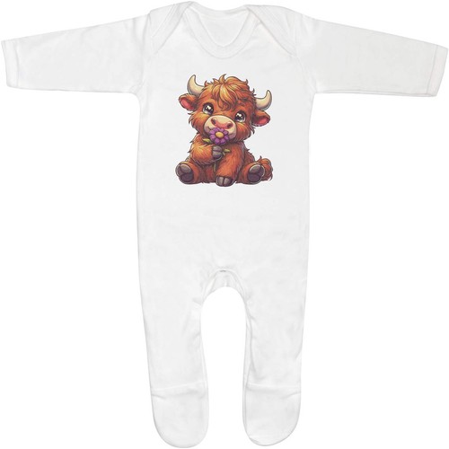 Cute highland cow - highland,