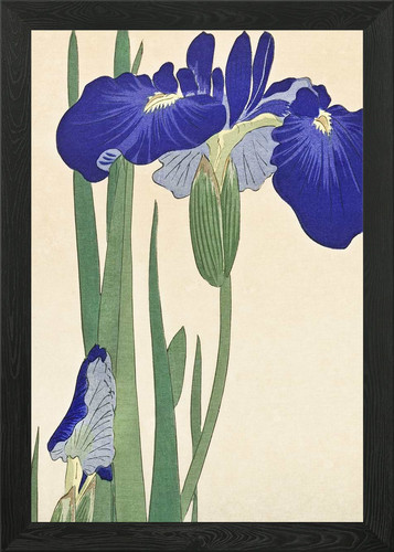 Japanese iris print framed - japanese,