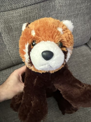 Loro parque red panda - loro,