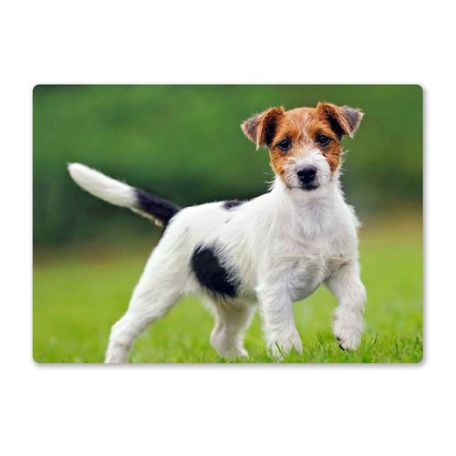 Metal wall sign dogs - wall, jack