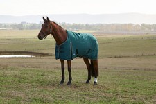 Weatherbeeta Comfitec Classic