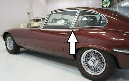 Jaguar type chrome flash - jaguar,