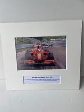 Michael Turner F1 Print