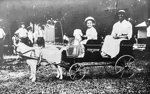 Double goat cart fern grove - cart,