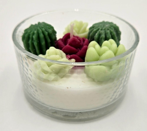 Succulent garden decorative - succulent,