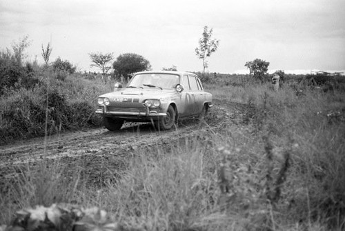 Triumph 2000 safari rally - safari,