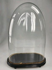  Large Antique Glass Dome with