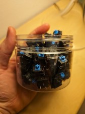 66 Cherry MX Blue Switches