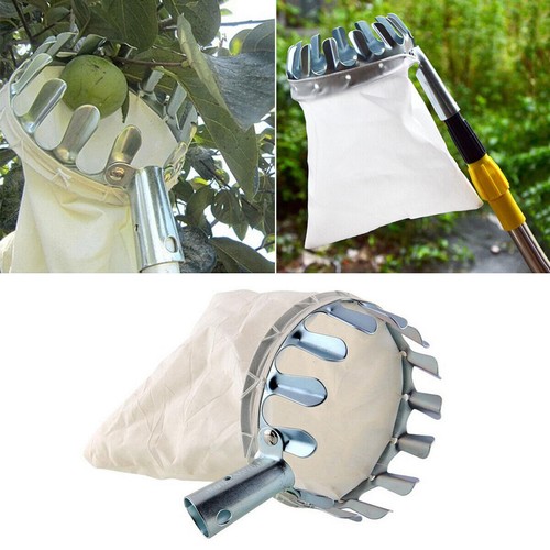 Apple fruit nut picker - apple,